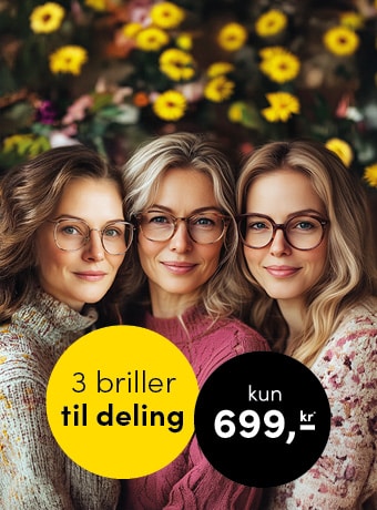 3 briller til deling